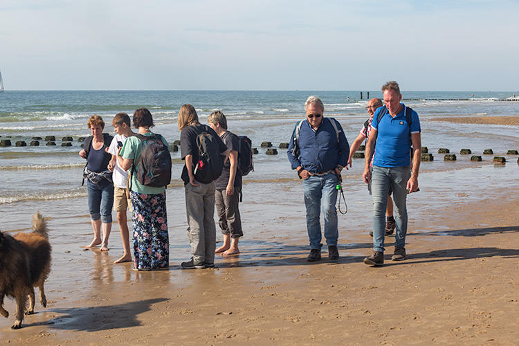 Wandeling Zoutelanden